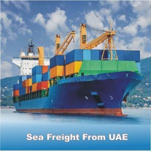 Sea Freight From UAE by next movers