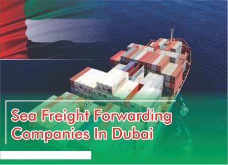 Sea Freight Shipping in Dubai