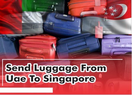 Send Luggage From Uae To Singapore