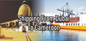 Shipping From Dubai To Cameroon