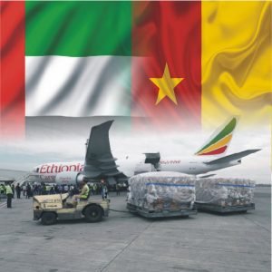 Shipping From Dubai To Cameroon by air cargo