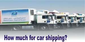 How much for car shipping? by next movers