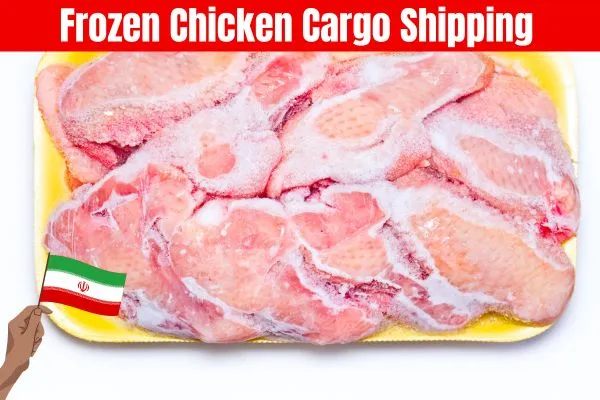 Frozen Chicken Cargo Shipping Service​
