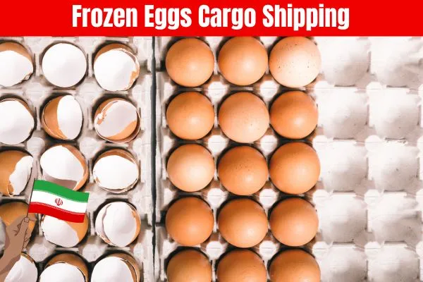 Frozen Eggs Cargo Shipping Service​