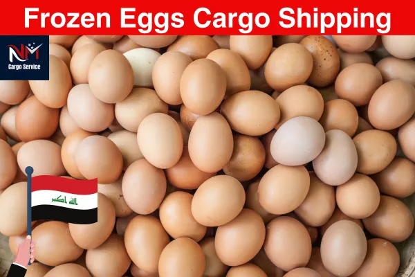 Frozen Eggs Cargo Shipping