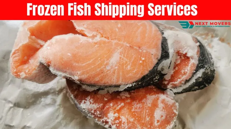 Frozen Fish Shipping Services