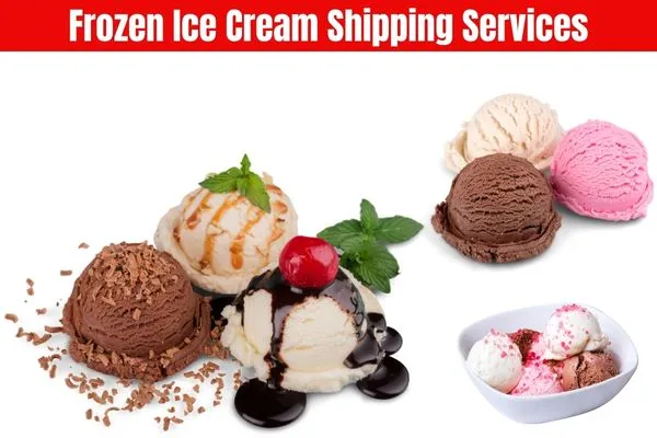 Frozen Ice Cream Shipping Services​