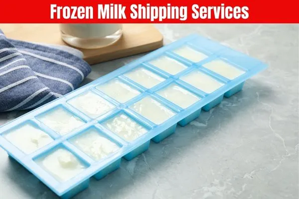 Frozen Milk Shipping Services​