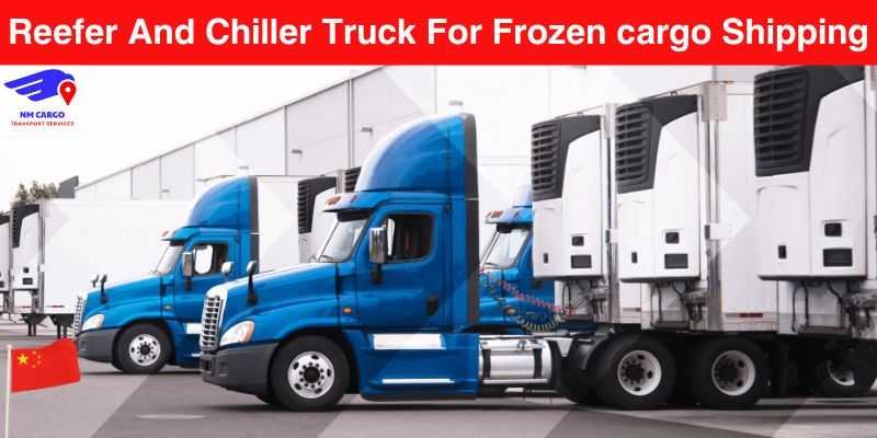 Reefer And Chiller Truck For Frozen cargo Shipping