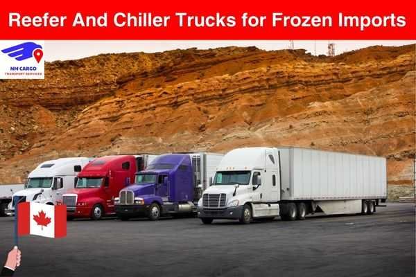 Reefer and Chiller Trucks for Frozen Import