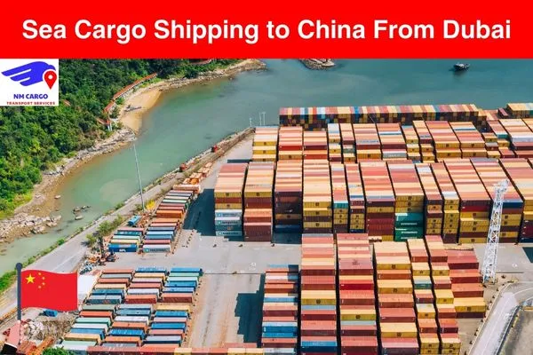 Sea Cargo Shipping To China From Dubai