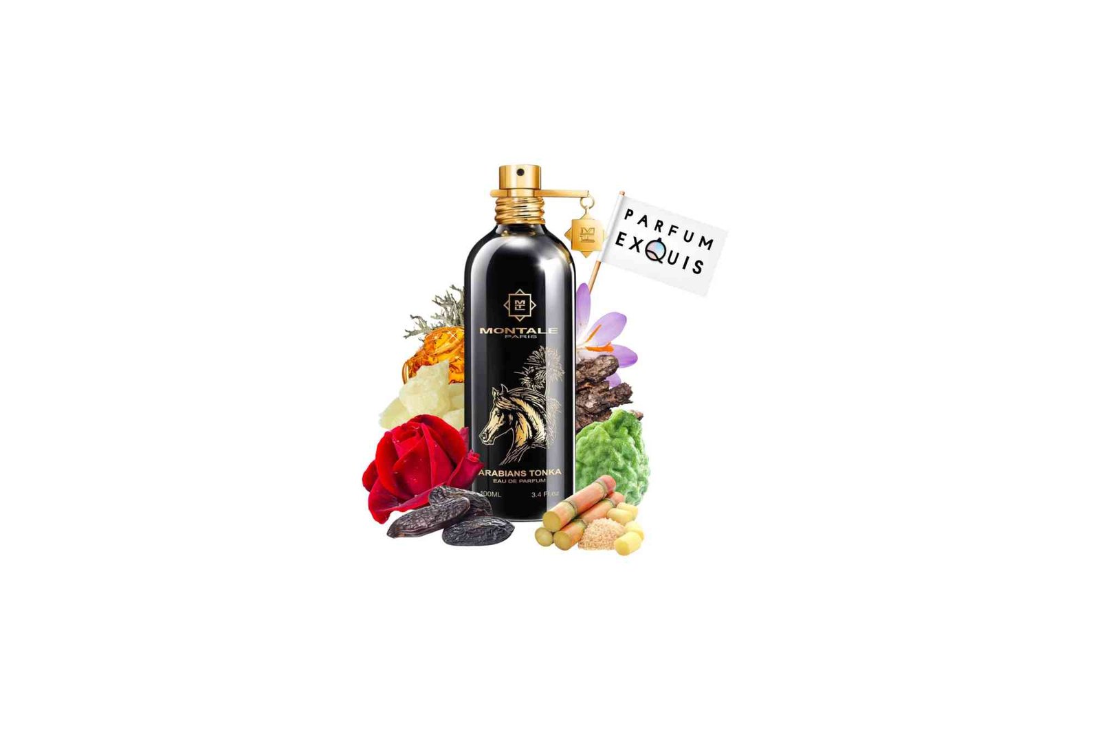 Montale Arabians Tonka  A Sensual Journey Through Warmth, Spice, and Elegance